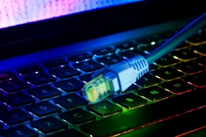 Buying Bulk Cat6 Cables in 2023 for Gaming: Ultimate Guide Buying Bulk Cat6 Cables in 2023 for Gaming: Ultimate Guide